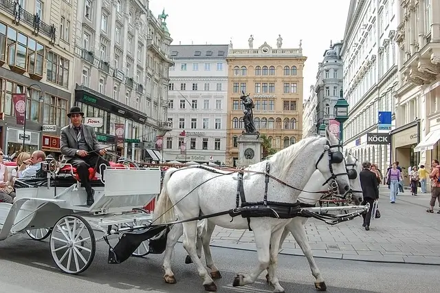 Business Hotels in Vienna