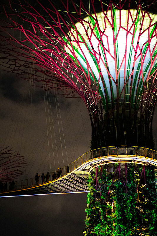 Marina Bay Sands infinity pool garden Singapore