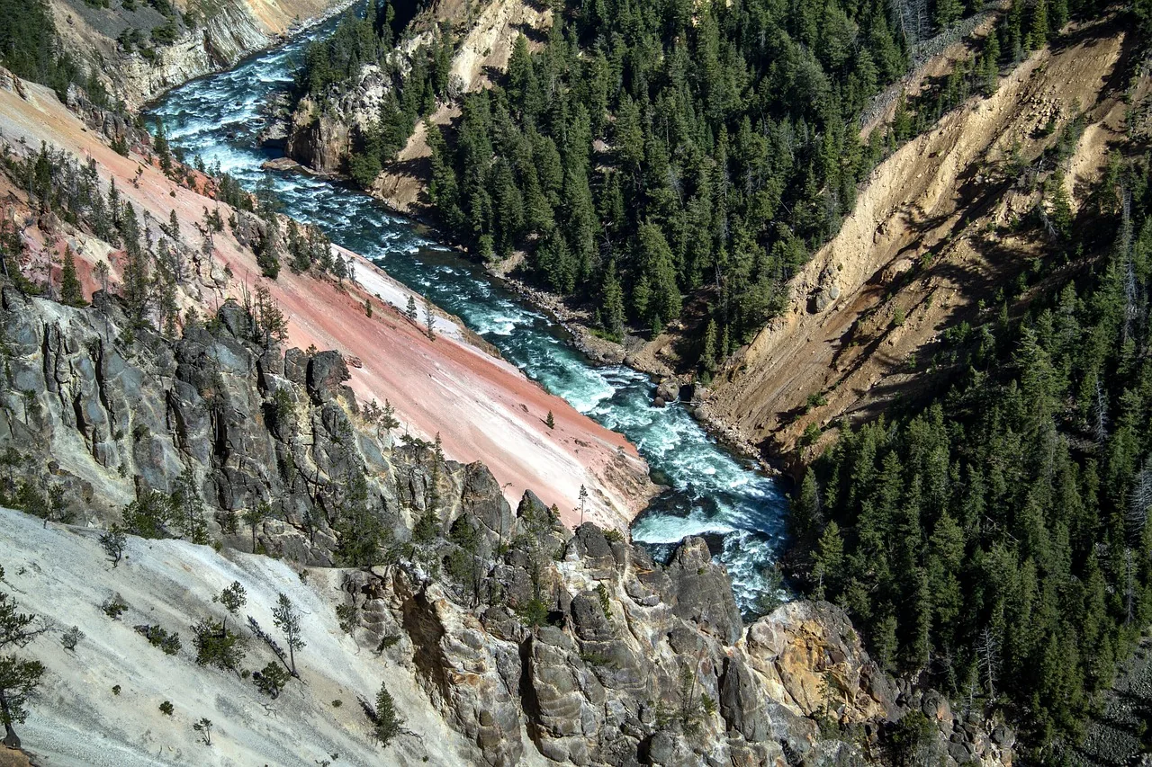Yellowstone River winding through a colorful canyon surrounded by evergreen forest
